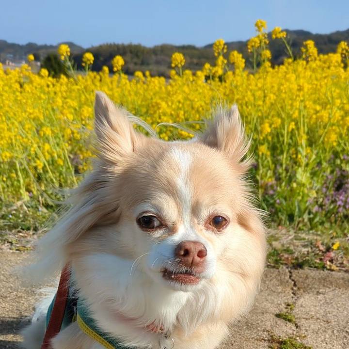 5c9fd2aa bd8f 4c26 9153 f955940f2e29 1772490639566