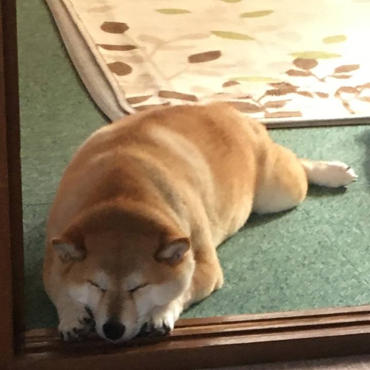 5c9fdf15 78f5 4548 8532 84664b62a3b4 1573356538749