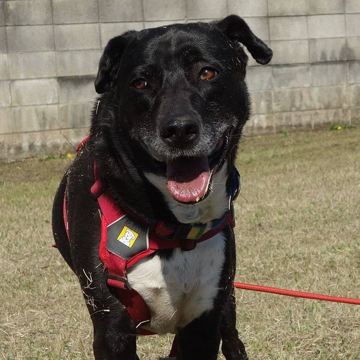 5ca02b33 6f8d 41f9 802f e59a36f4a040 1681093536992