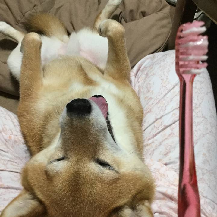 5ca03341 d719 4dc3 9f9a d71e8f3404de 1562682797100