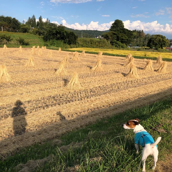 5ca06c35 9d53 4f87 b918 44223b7e5493 1569848070455