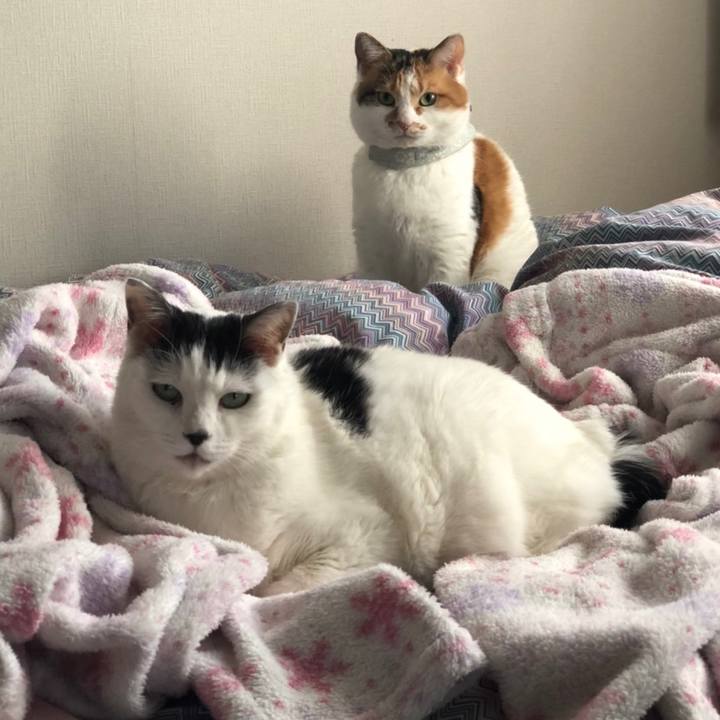 5ca0754e 5d61 4701 9692 3252dc84916e 1676590225725