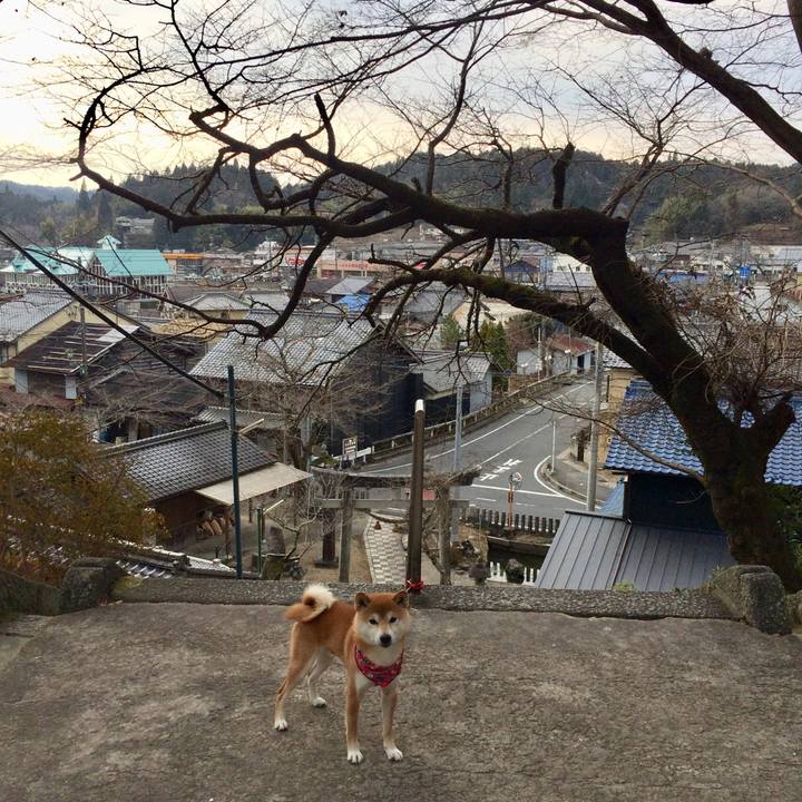 5ca08d71 2661 468e 9a85 01e89050716d 1514097643564