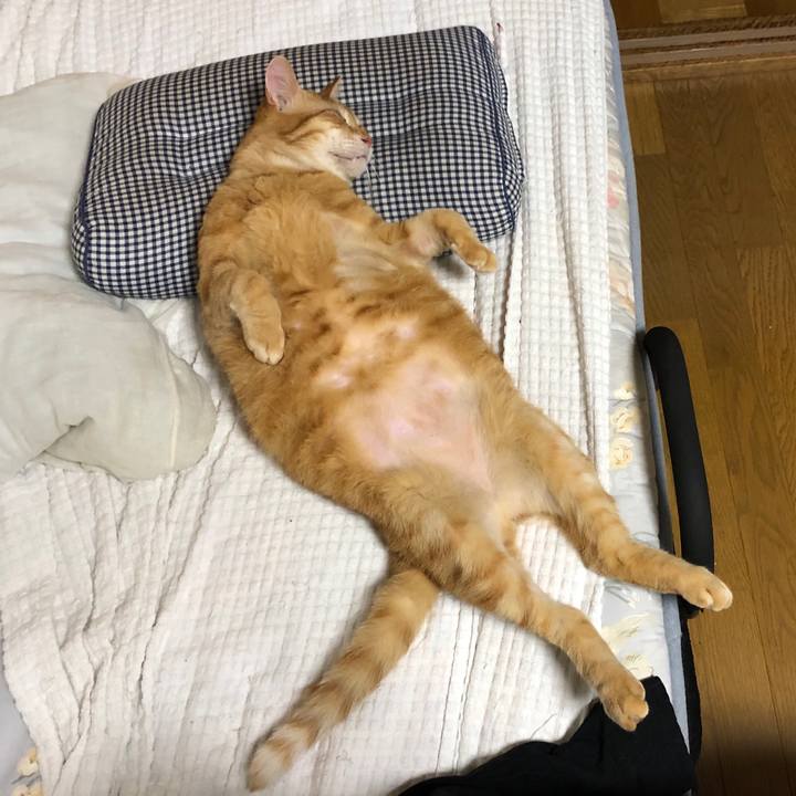 5ca113bc 2f43 4efc 97f3 f3f68370b9d4 1598360091522