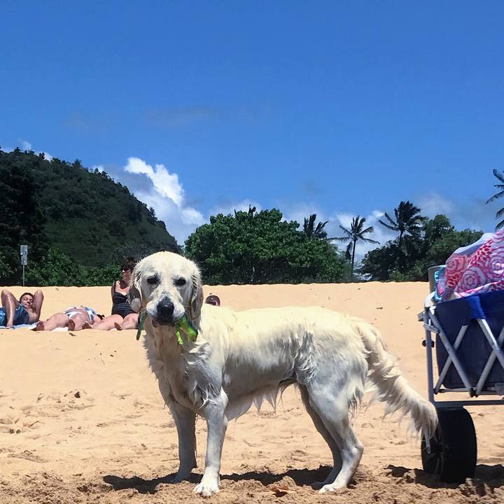 5ca143c2 f675 4f54 b7f0 040173844aca 1526878253341