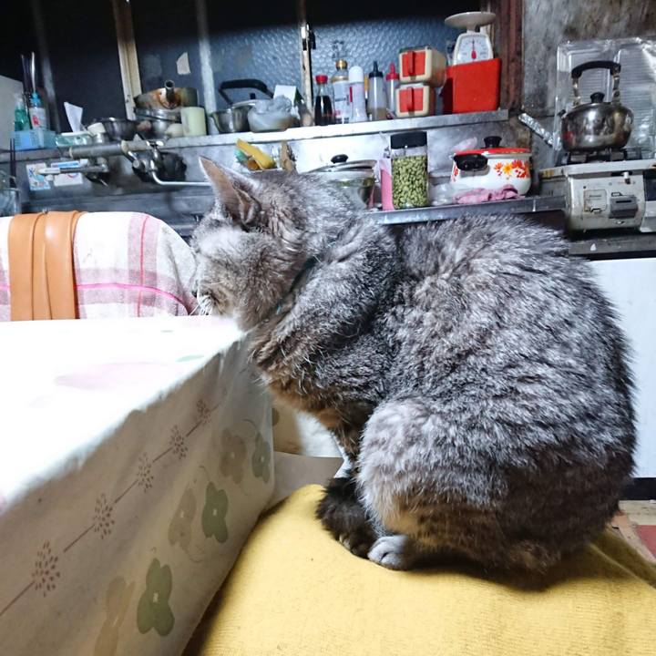 5ca14cbb d5a4 4946 ab32 372a15a33a0d 1604261816260