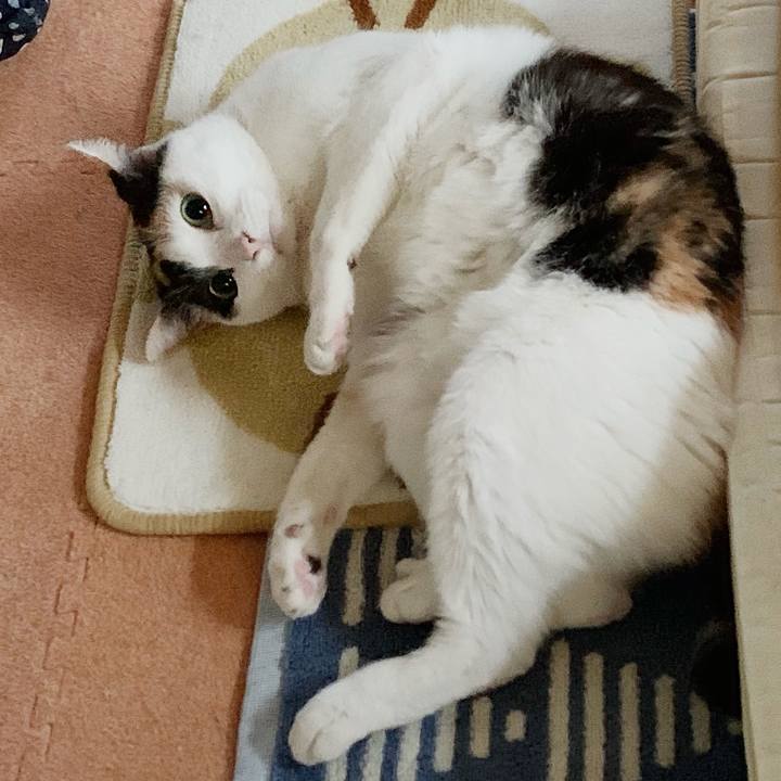 5ca15fd0 980b 4b52 a0f3 fa8107b82409 1548379132903