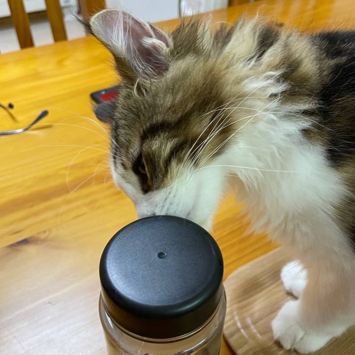 5ca1c2d7 14f3 4759 b51c 222d85b81c2c 1635156766386