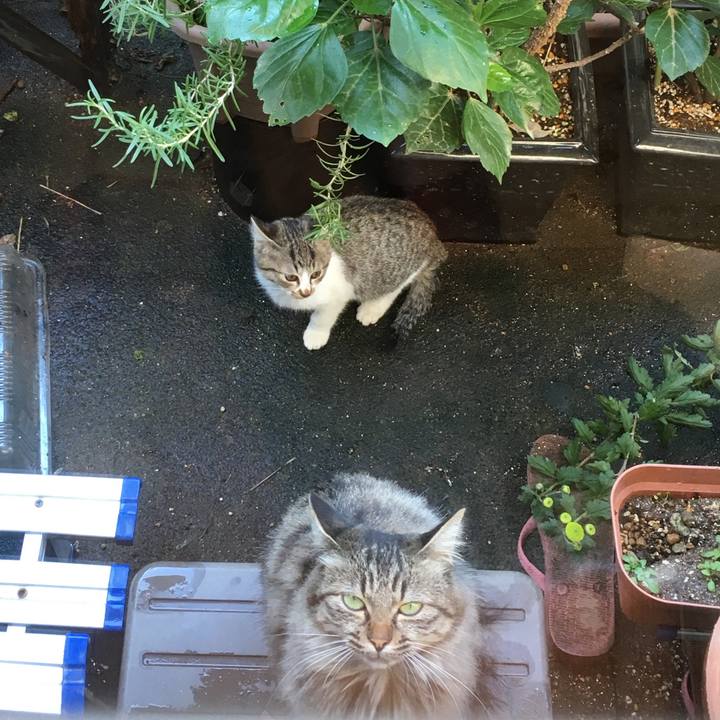 5ca1d99e ca7b 4bc8 96b0 ba12139f8efc 1528243108533