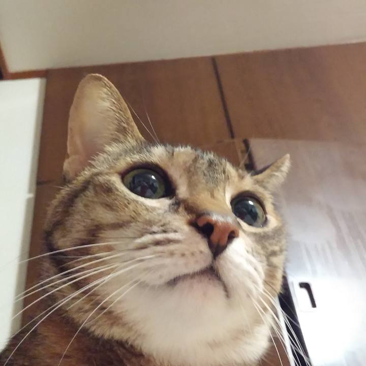 5ca1dc46 71e5 4466 a8e7 c2b396b3a10d 1520492559914