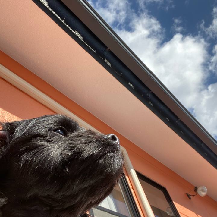 5ca22a36 602b 4bac b2e2 a884e1977dc0 1572868864397