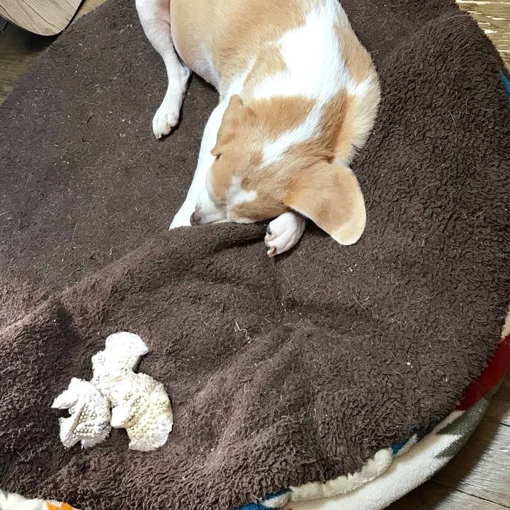 5ca234b0 7e94 463f 91f8 27da38024d51 1546138407787