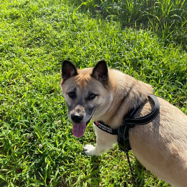 5ca268ab 67d1 41ad 9c3b e53213f7520b 1721650391063