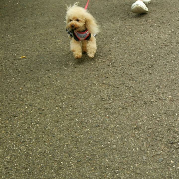 5ca271ad 30c6 4454 98d6 93facbe640af 1537604002143