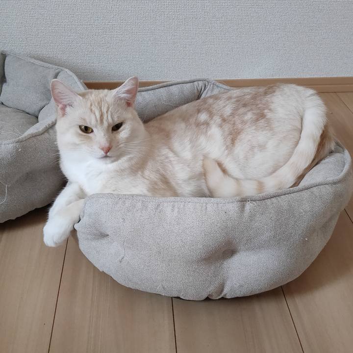 5ca283d6 4daf 4492 9503 83bae2bd46cd 1660956809390