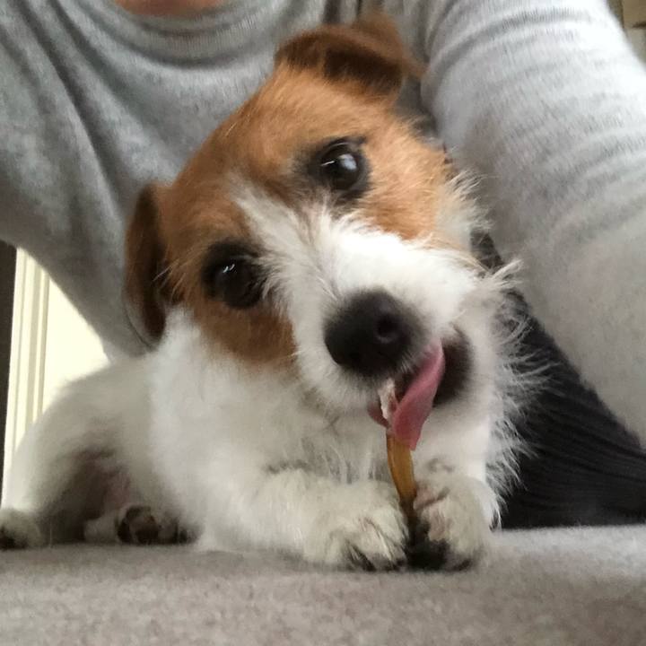 5ca2f2ee 60a0 4928 91f0 ceb3fe1e3c8b 1543728722425