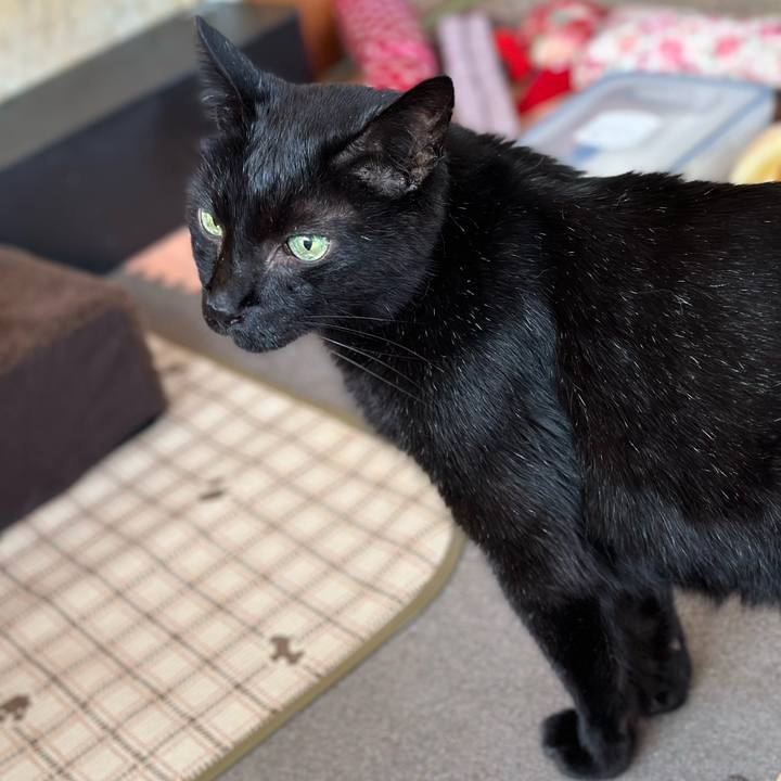 5ca301d1 bd2f 44a5 a164 96a5a81b9f0c 1694738906814