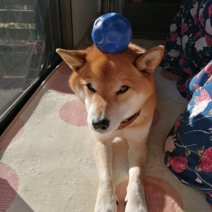 5ca32ad8 4672 4929 bed5 3b5ea19ec5db 1642310323674