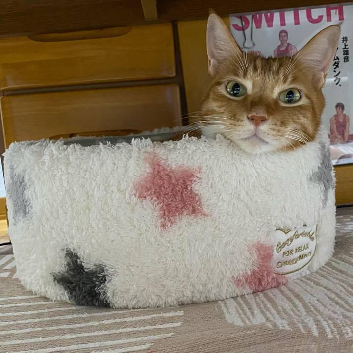 5ca338ac 792f 4887 ac38 3ed17bccc3c1 1697883455490