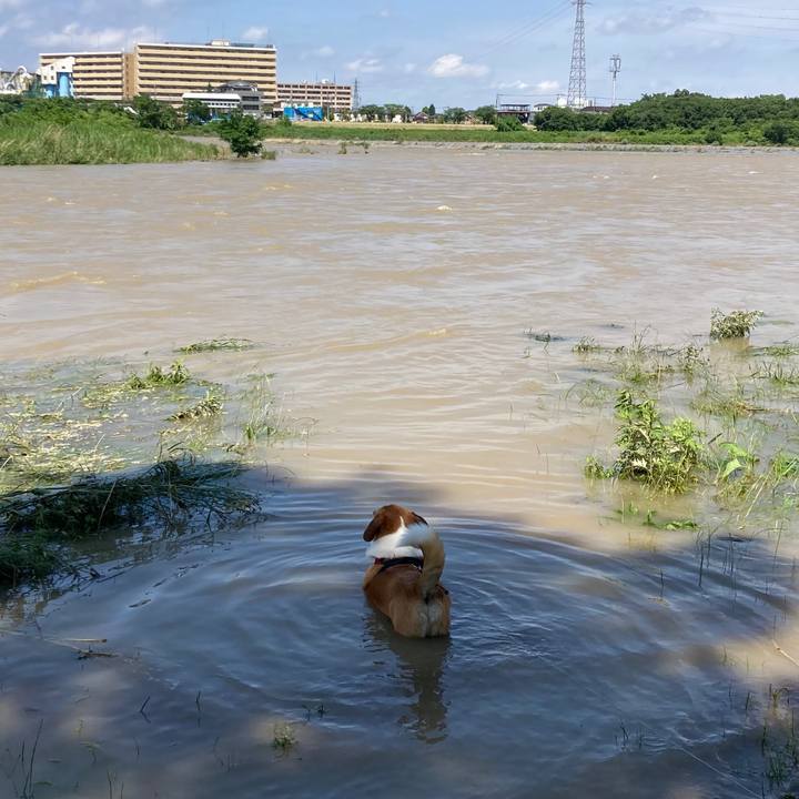 5ca3732c 8abf 40bf beec daa257ad5cc9 1685769765300