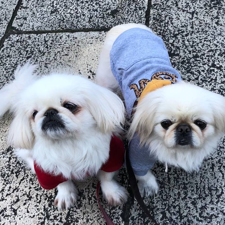 5ca37c72 5a40 445a a70f 0e7b27f04c6f 1542846380369