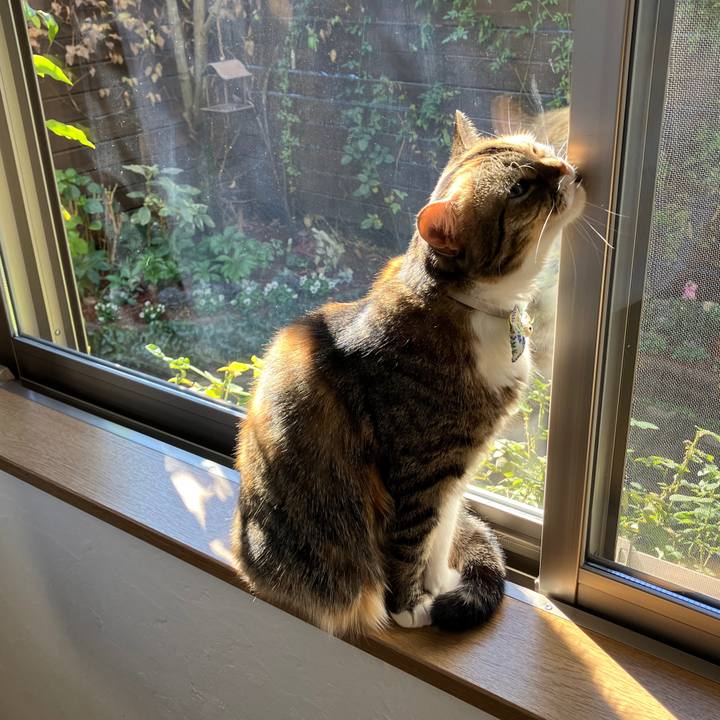 5ca39dd2 44fa 4ee1 949e f36886c8ec42 1765761894925