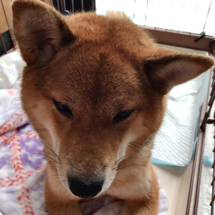 5ca40436 0a99 4404 9f3c 02abcbd54aca 1522623635880