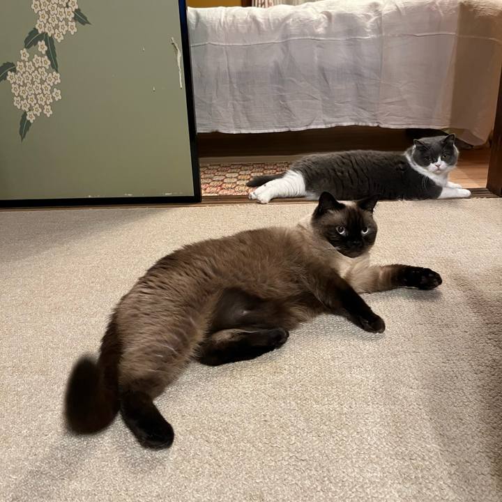 5ca443e9 e686 4dc6 b84a 4c398187af12 1659268006361