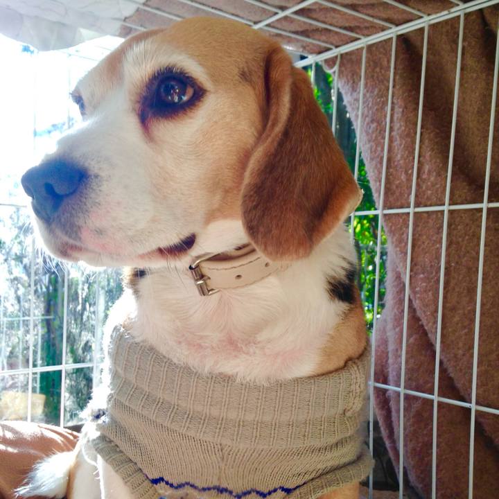 5ca4698a c52a 45a2 b603 204a855ad8f4 1767353744804