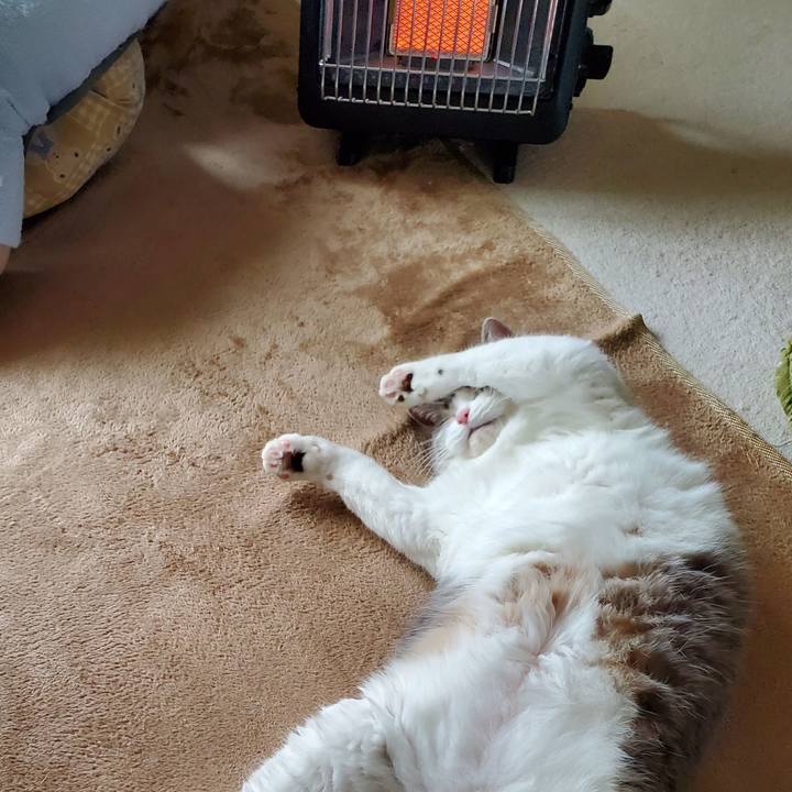 5ca46cb9 cfed 4b2b b0a4 7fa52b7397a6 1722810772815