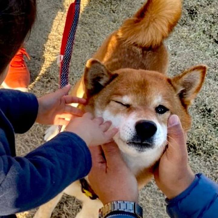 5ca46da9 2c84 4b5c b09f 35a11ef71f64 1613041074135