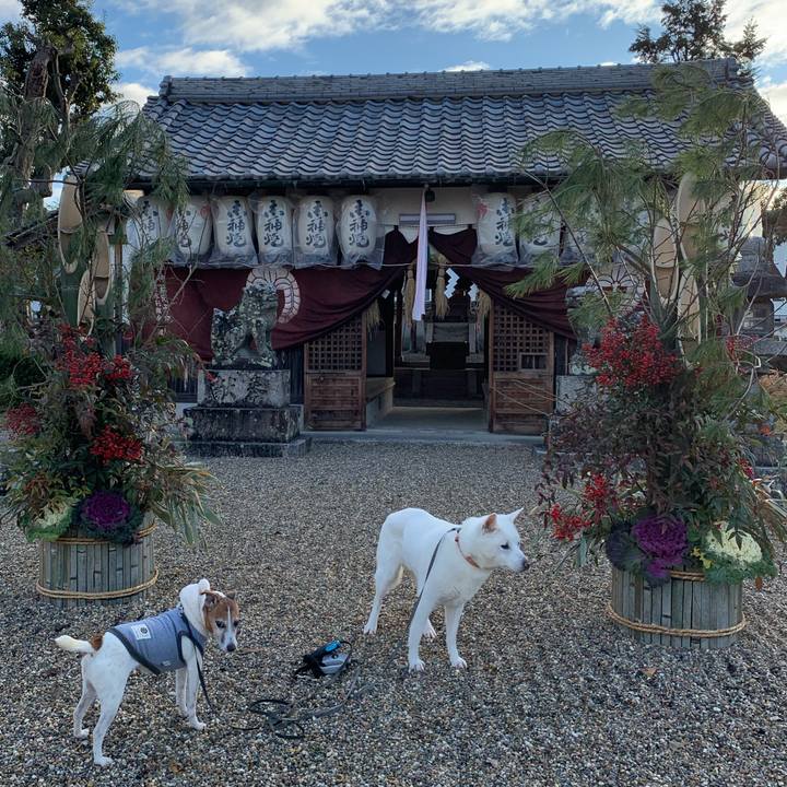 5ca47985 3403 4076 9162 88973bbc0c0d 1577837356759