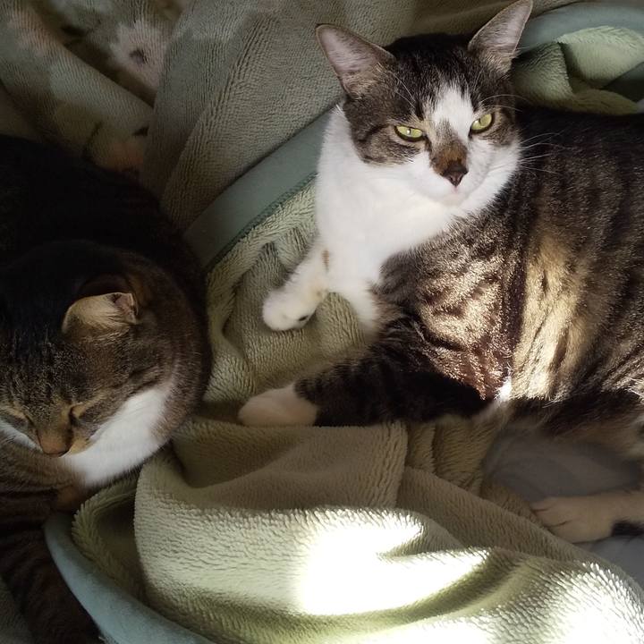 5ca4ba7f 302e 47ac 8c15 1565abd10807 1663716384806