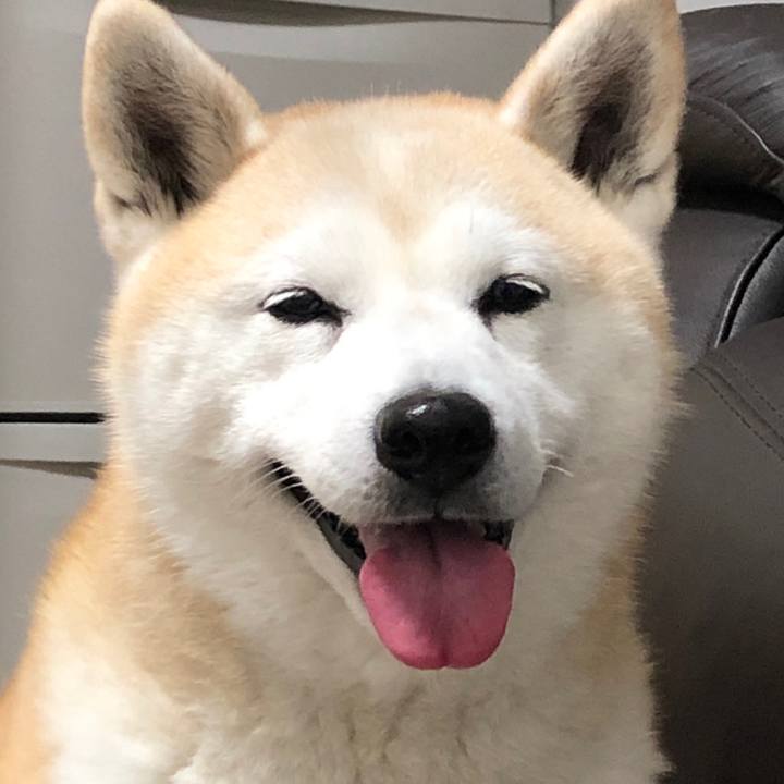 5ca4bc94 7433 4b81 b129 ba58fcdd7a45 1550064449487