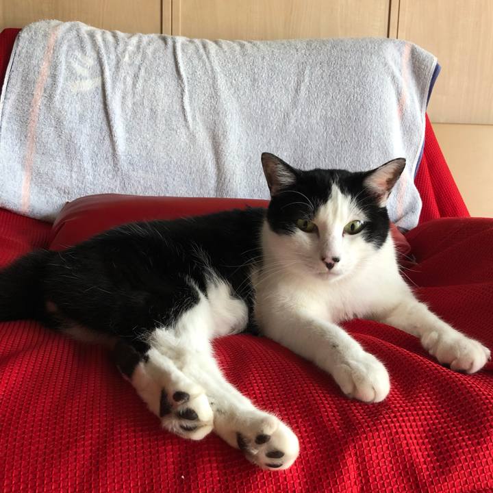 5ca4cac8 876e 469e 9f98 075b92f2a0ac 1559363324518