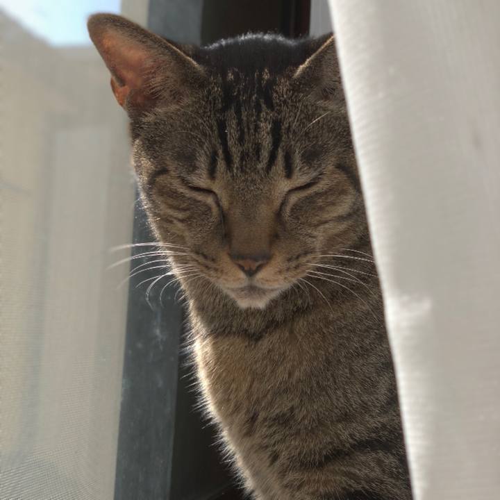 5ca4e2d5 7358 4ed1 8d8d 7d9fcdf0e825 1538874377359