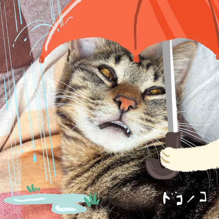 5ca55f87 a4af 4656 839f c193422e9cc7 1749264971598