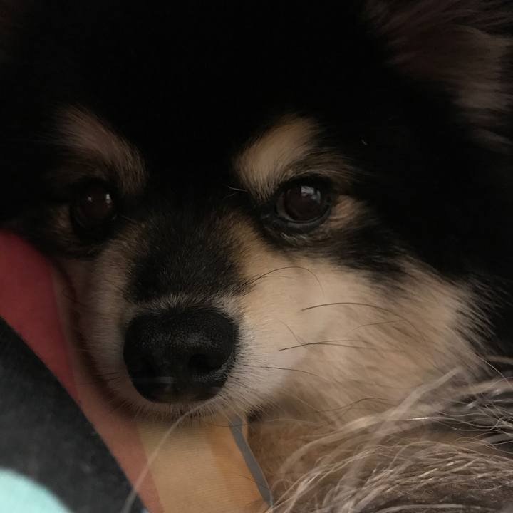 5ca592de fbf3 4c85 b9a7 58406557eb24 1524237664776