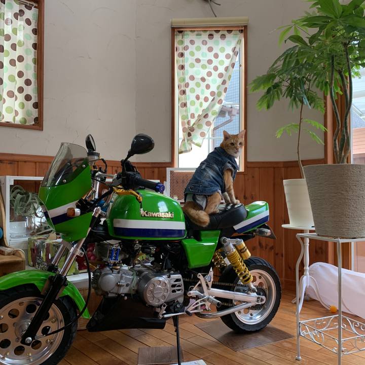 5ca5baaa 4941 434c 8640 90b46b080545 1661036129312