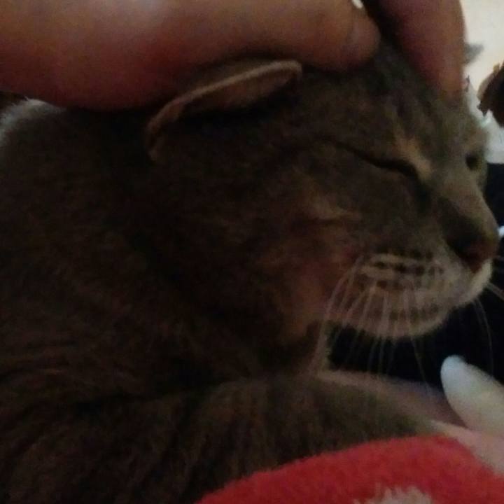 5ca5c540 03b3 42a0 9139 89fcabd3e796 1586651765369