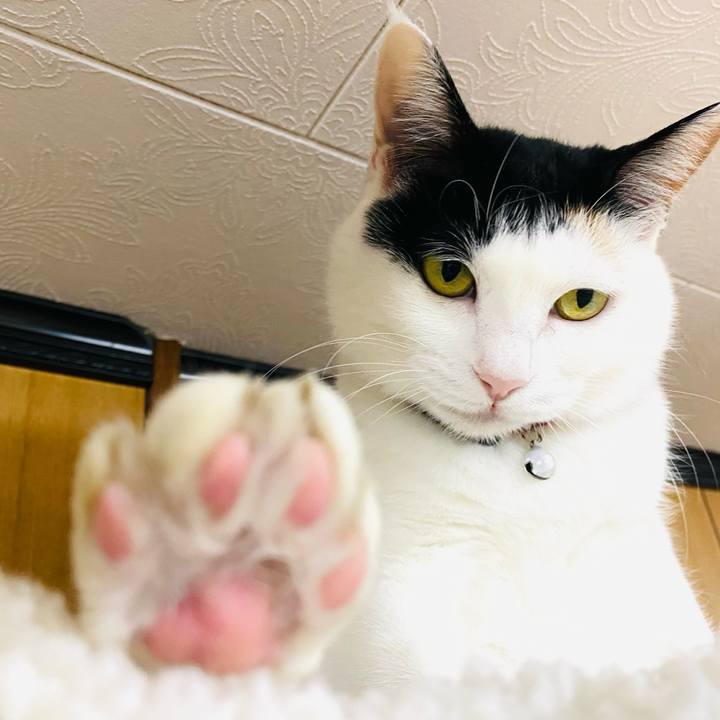 5ca5c5fe 59f1 489a 95fc e5a5ee4adbb0 1678892306875