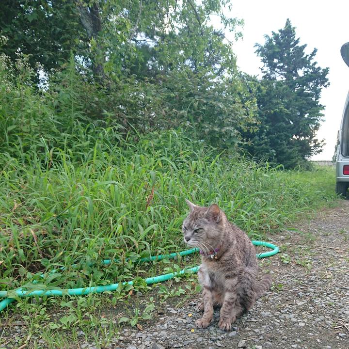 5ca5d705 e7dd 4b94 aacd cb4f0dd3aa7d 1597396909424