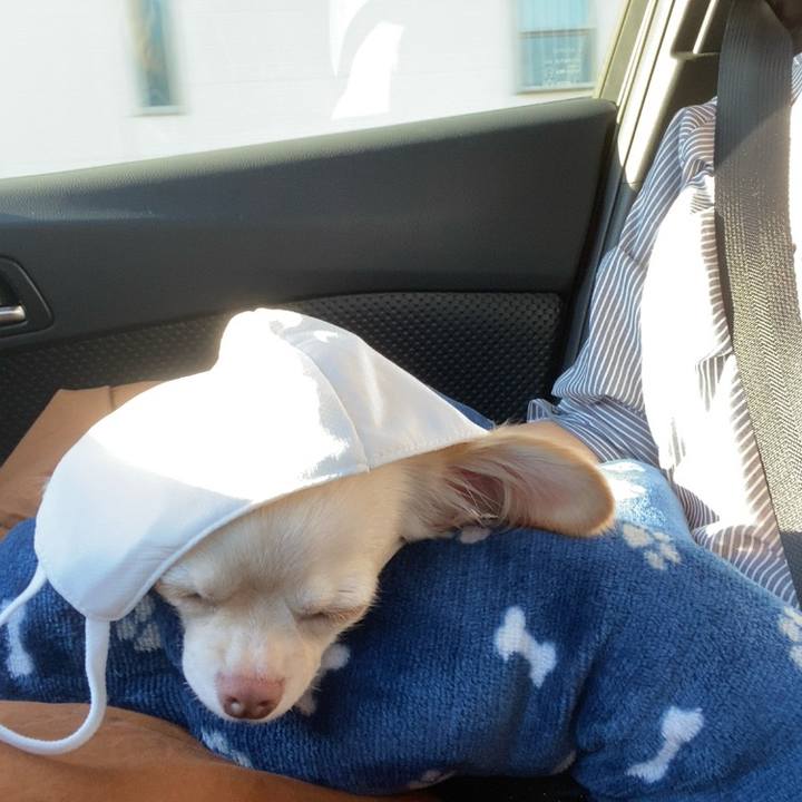 5ca61119 6979 42d2 927e 5d84c9e4ff59 1632136582504