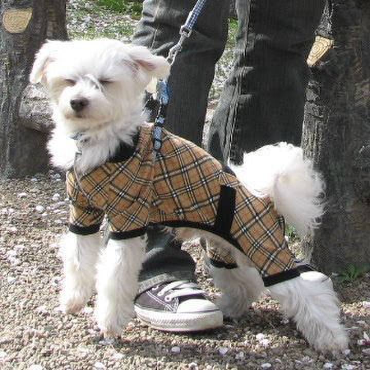 5ca61834 b5a4 4386 9993 ae91a4e8f87e 1523788144485