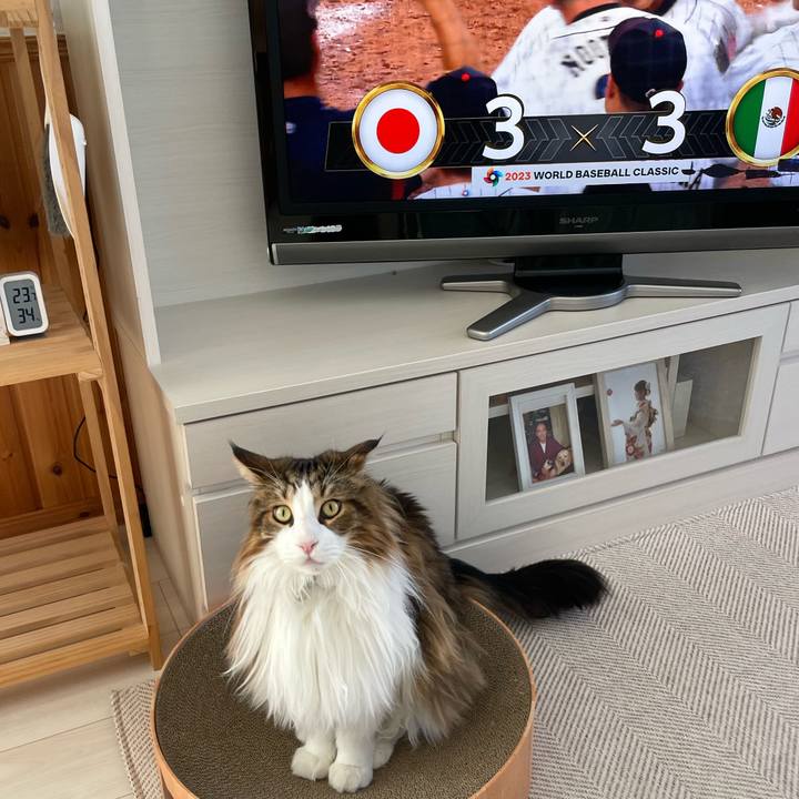 5ca61a46 52fe 4104 b882 ad81a142f88c 1679363565197