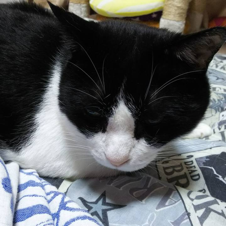 5ca624a6 f2b9 44e0 9b0b 73900af9bd6e 1533944580531