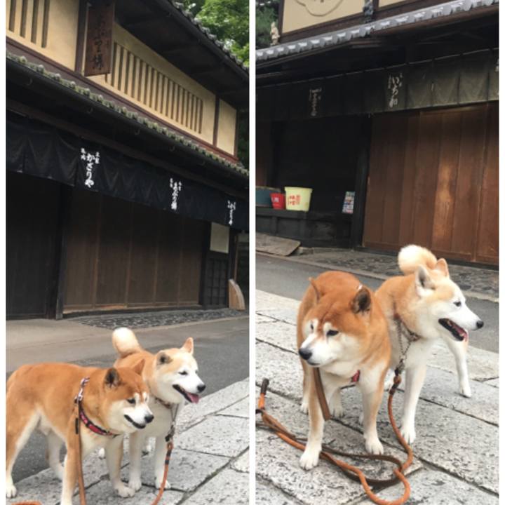 5ca62ec9 ebe5 4b78 8ef6 941b8e4c950c 1529732086790