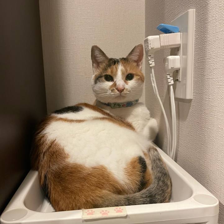 5ca65330 f4b5 4097 a8b8 76058b881480 1727707351132