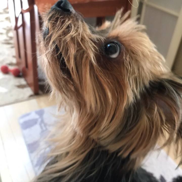 5ca6a531 4db1 4bc6 90c4 500b7897bfc7 1515120189156