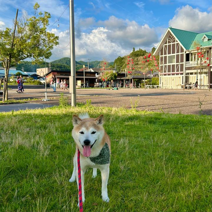 5ca6b78d 8d5a 4e44 9f42 8b36ac4e7d57 1753788002066